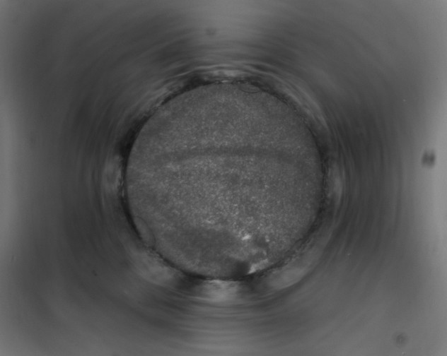 X0000101180328200807250945