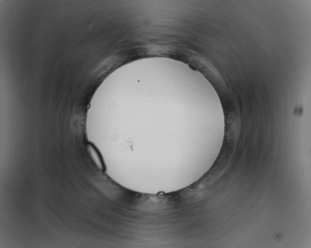 X0000101180329200807250945