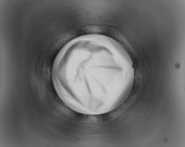 X0000101180330200807250945