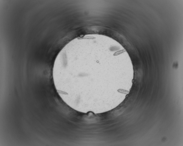 X0000101180331200807250945