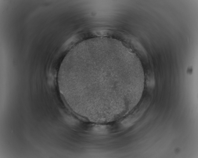 X0000101180332200807250945