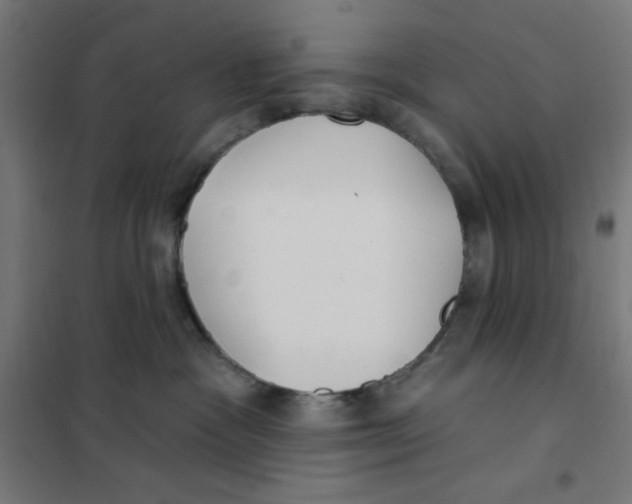 X0000101180333200807250945