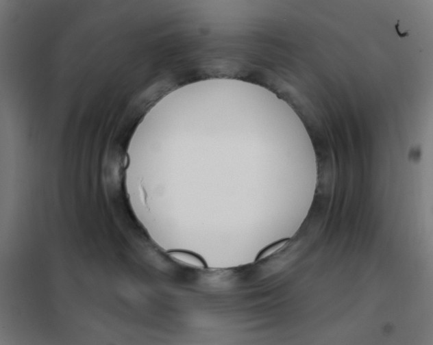 X0000101180334200807250945