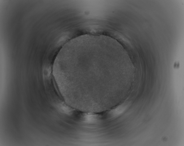 X0000101180336200807250945