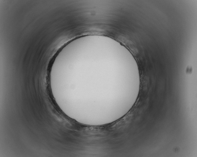 X0000101180338200807250945