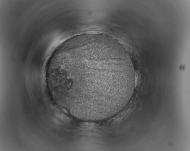 X0000101180339200807250945