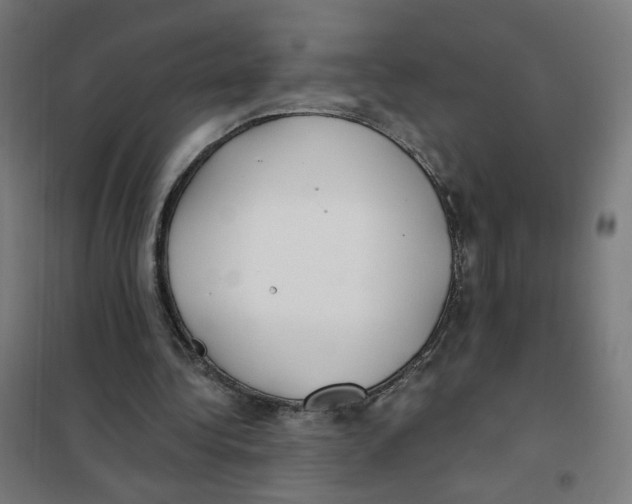 X0000101180340200807250945