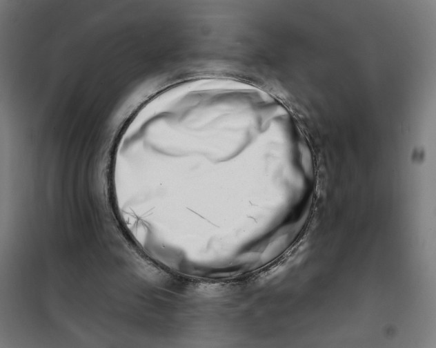 X0000101180341200807250945