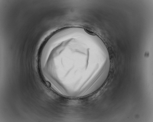 X0000101180342200807250945