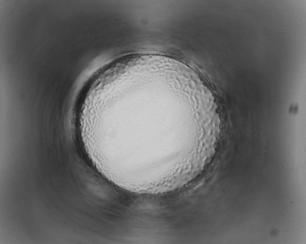 X0000101180343200807250945