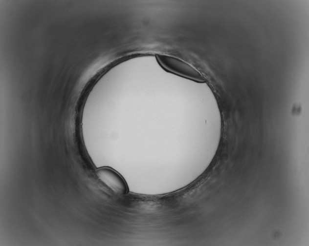 X0000101180344200807250945