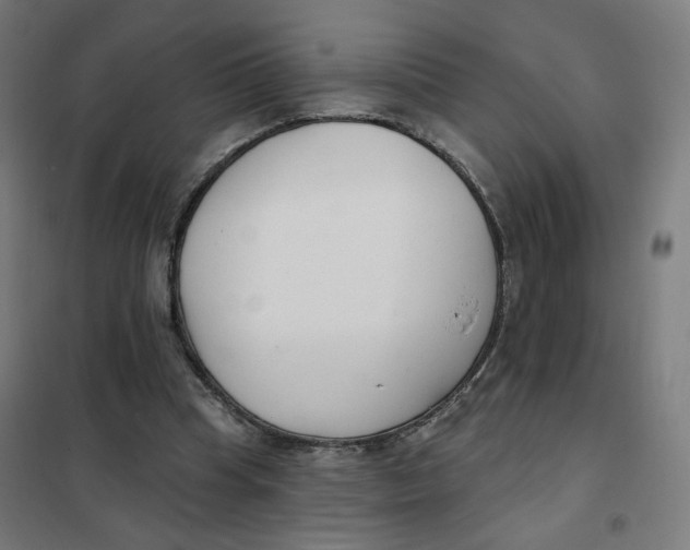 X0000101180345200807250945