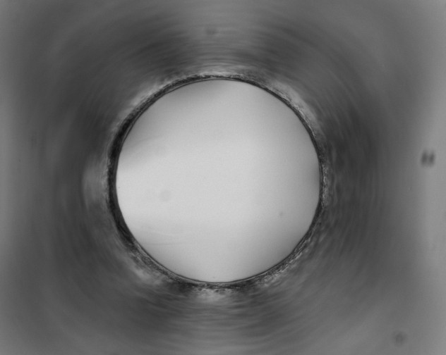 X0000101180346200807250945