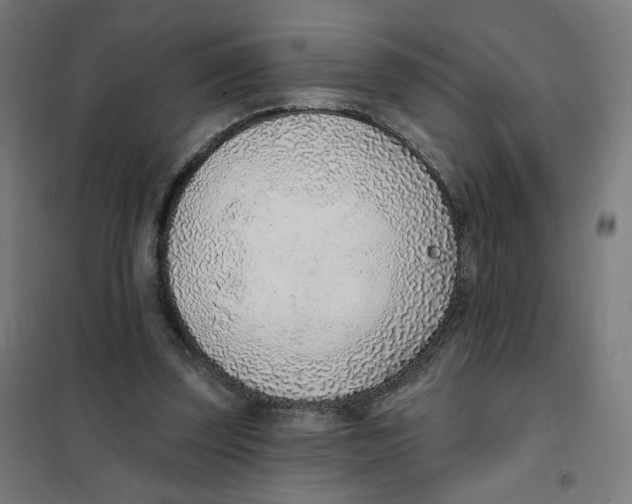 X0000101180347200807250945