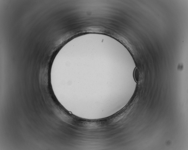 X0000101180349200807250945