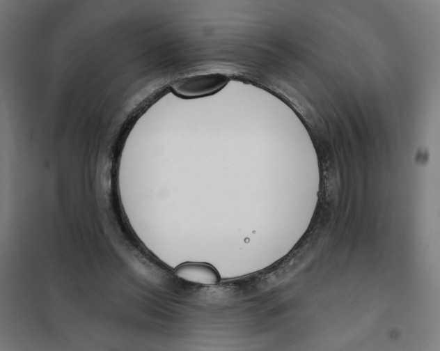 X0000101180350200807250945