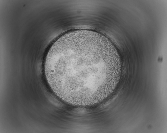 X0000101180351200807250945