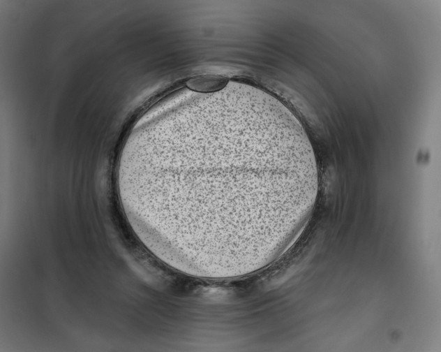 X0000101180352200807250945