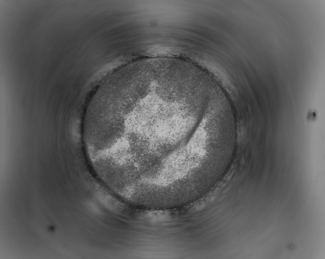 X0000101180353200807250945