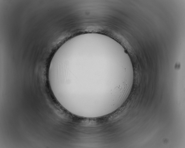 X0000101180354200807250945