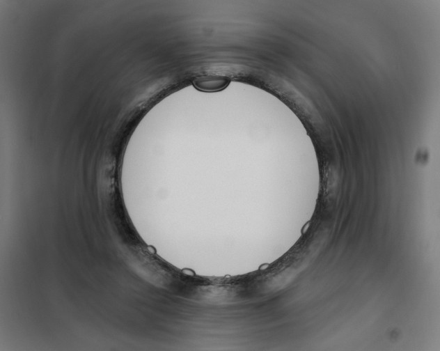 X0000101180356200807250945