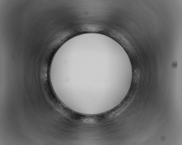 X0000101180358200807250945