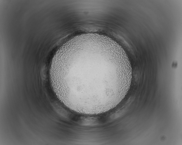 X0000101180359200807250945