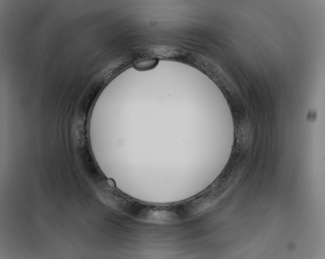 X0000101180360200807250945