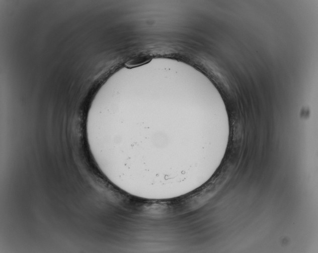 X0000101180362200807250945