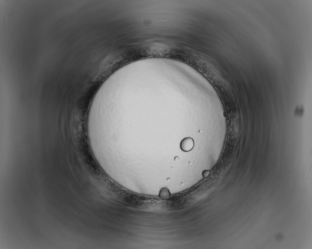 X0000101180363200807250945