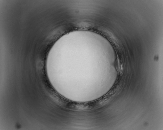 X0000101180365200807250945