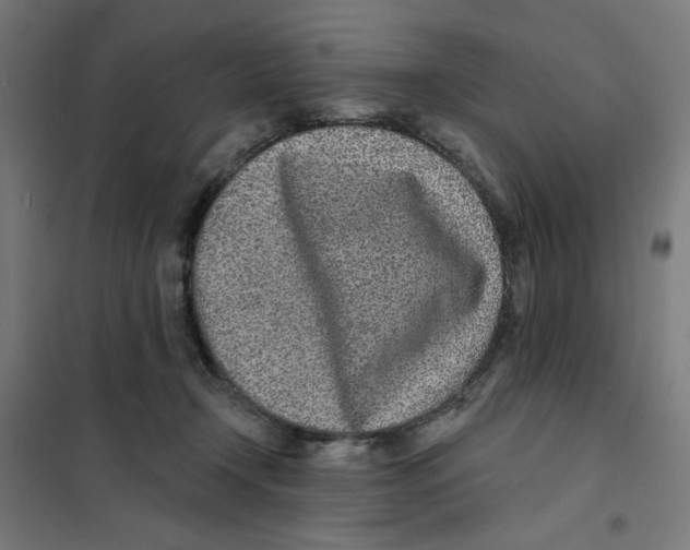 X0000101180366200807250945