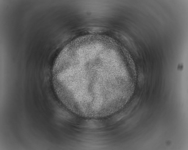 X0000101180367200807250945