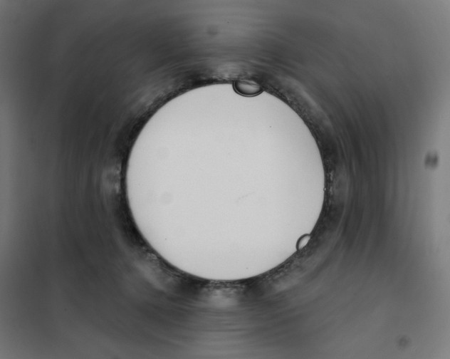 X0000101180368200807250945