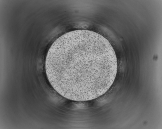 X0000101180370200807250945