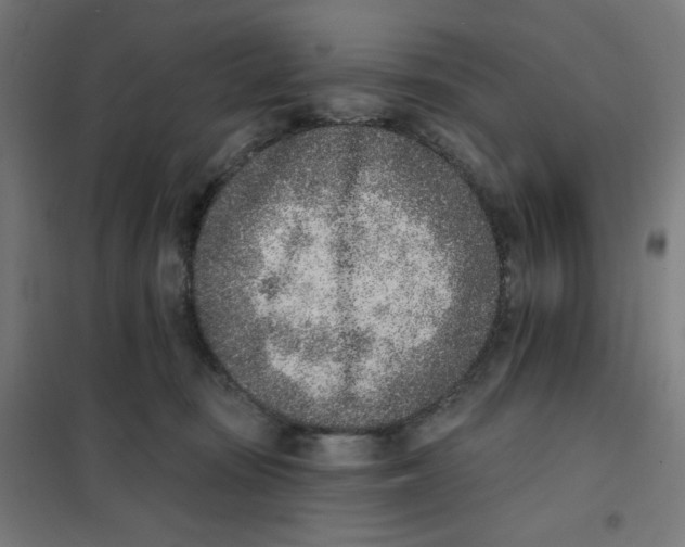 X0000101180371200807250945