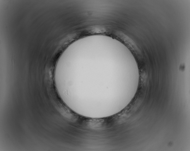 X0000101180373200807250945