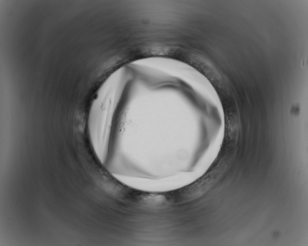 X0000101180374200807250945