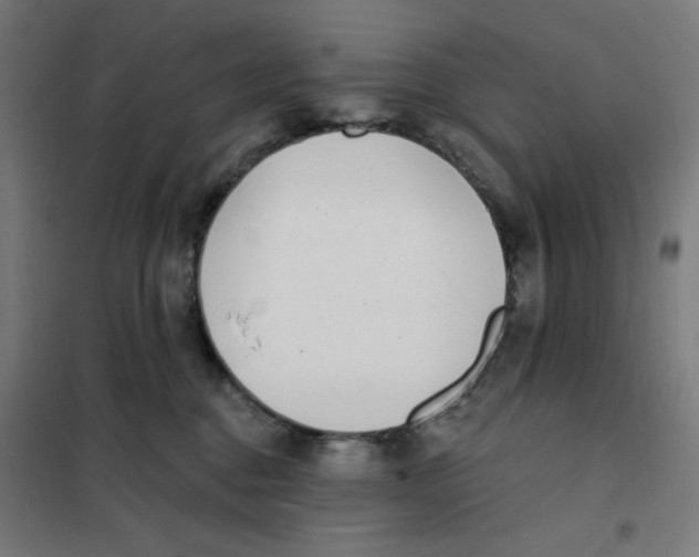 X0000101180376200807250945