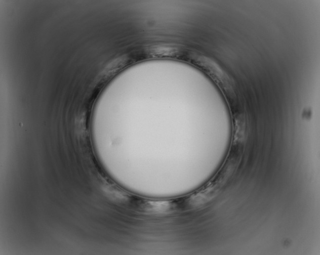 X0000101180377200807250945