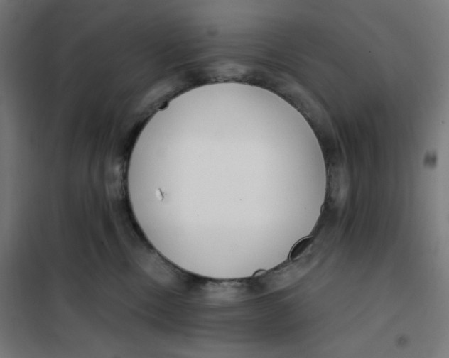 X0000101180378200807250945