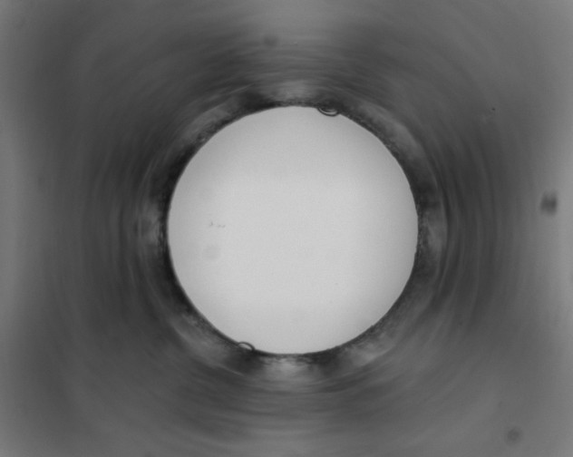 X0000101180380200807250945