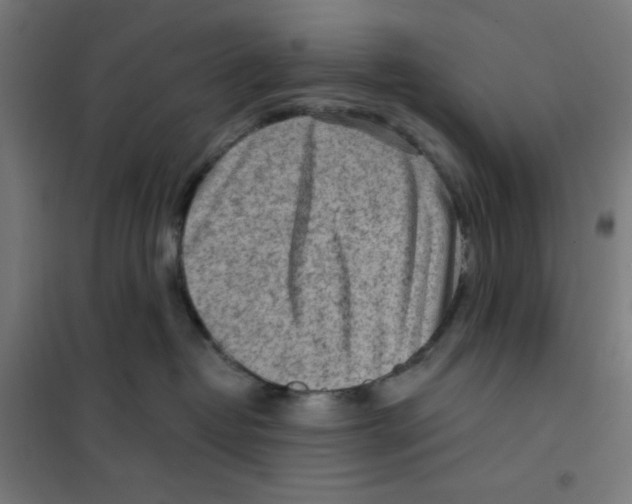 X0000101180382200807250945