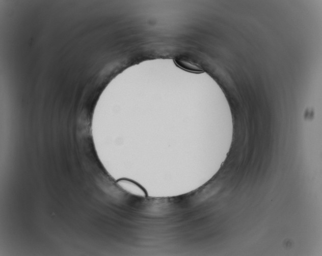 X0000101180384200807250945