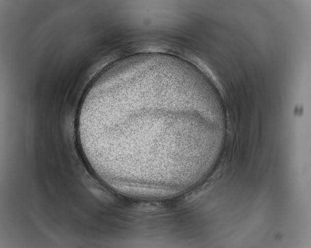 X0000101180386200807250945