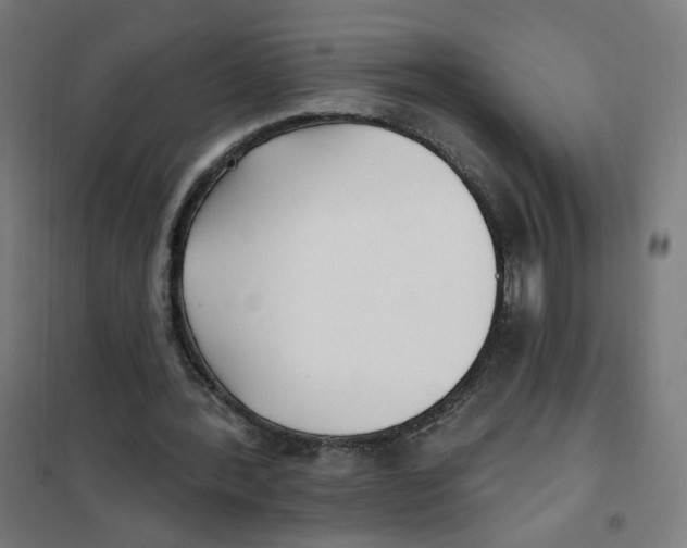 X0000101180388200807250945