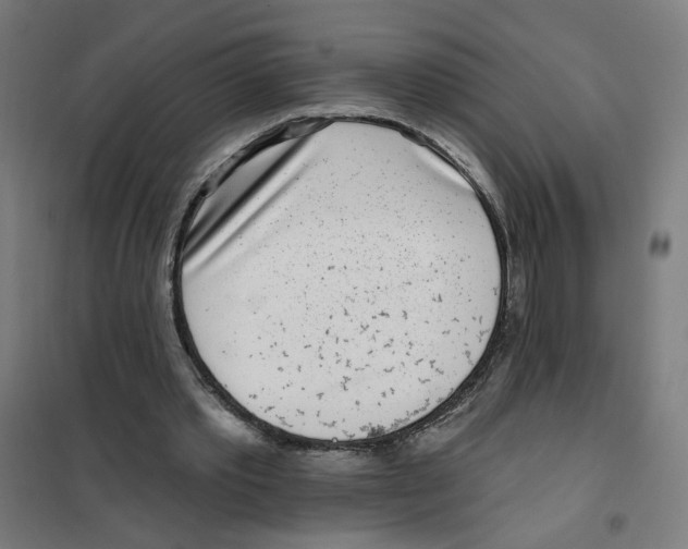 X0000101180389200807250945