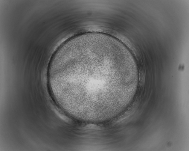 X0000101180390200807250945