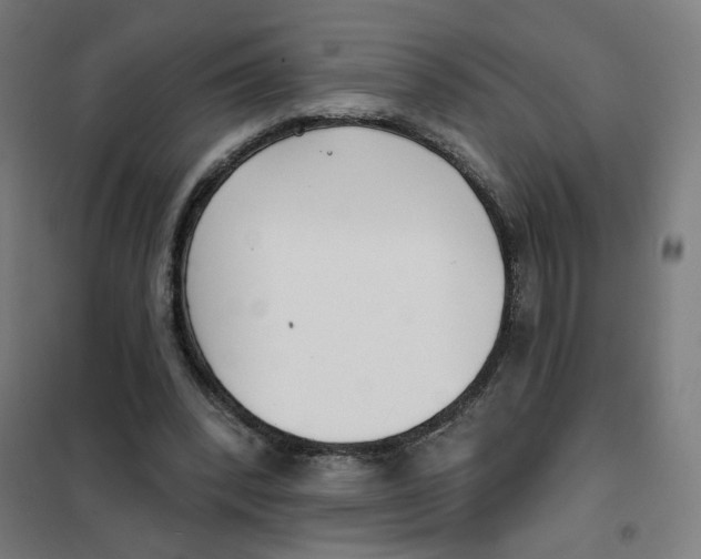 X0000101180392200807250945