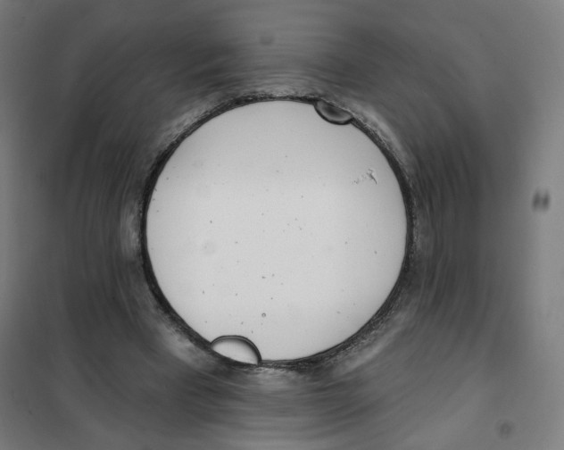 X0000101180393200807250944